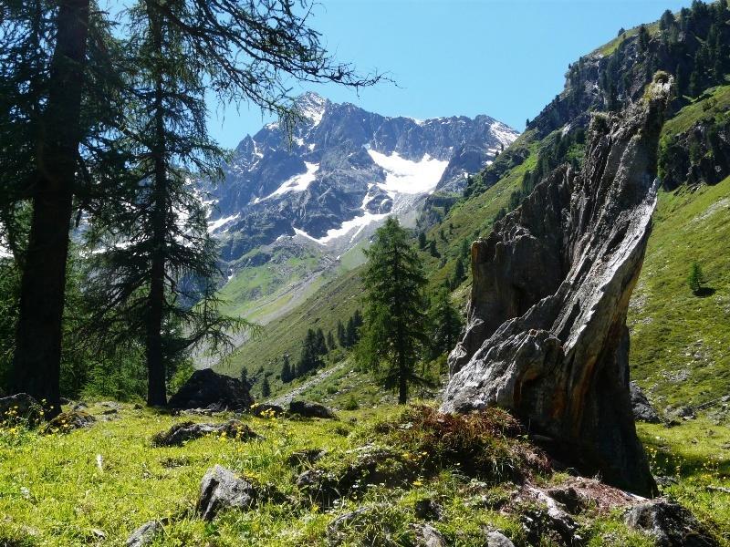 Pension Schoepf Arzl im Pitztal Exterior photo